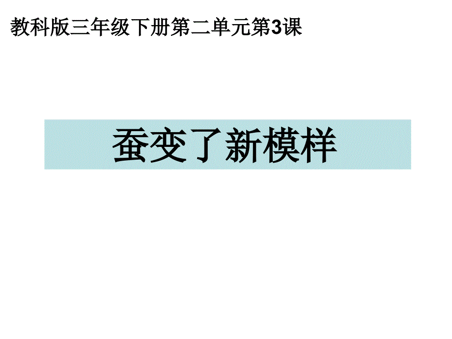 科教版三年级下册第三课蚕变了新模样课件_第1页