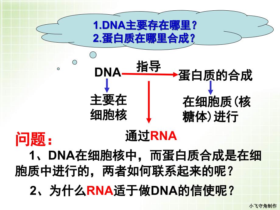 基因指导蛋白质的合成 (2)_第4页