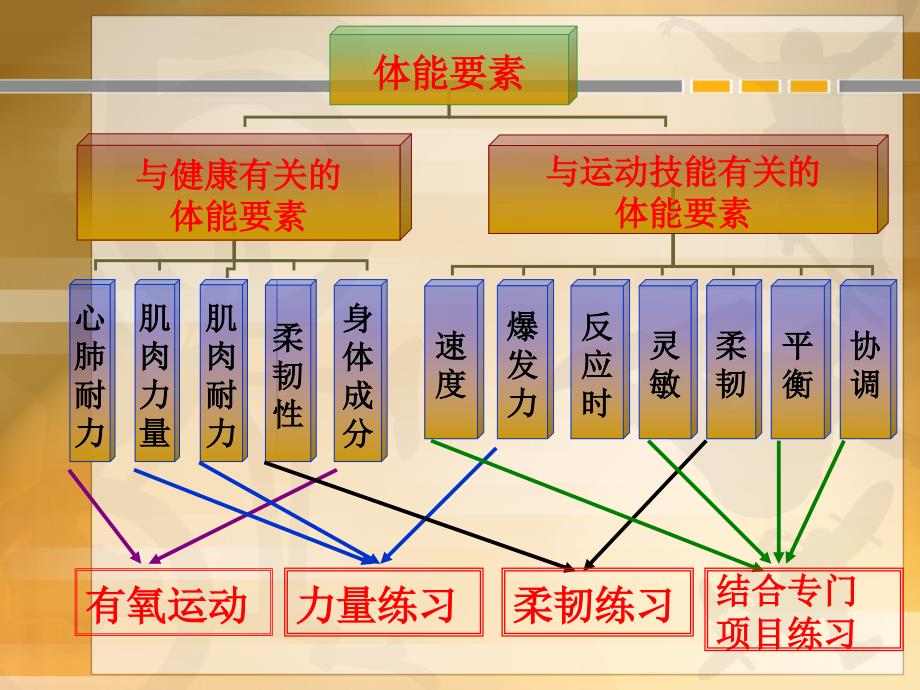 高中体育课件：理论课-全面发展体能与科学锻炼_第4页