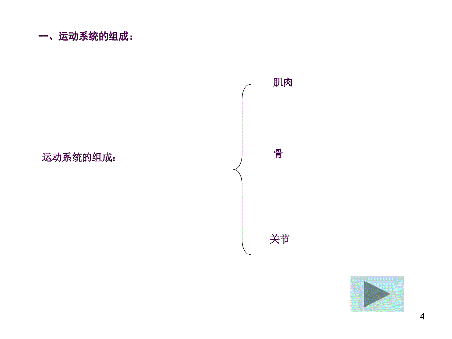 动物的运动含动画ppt课件_第4页