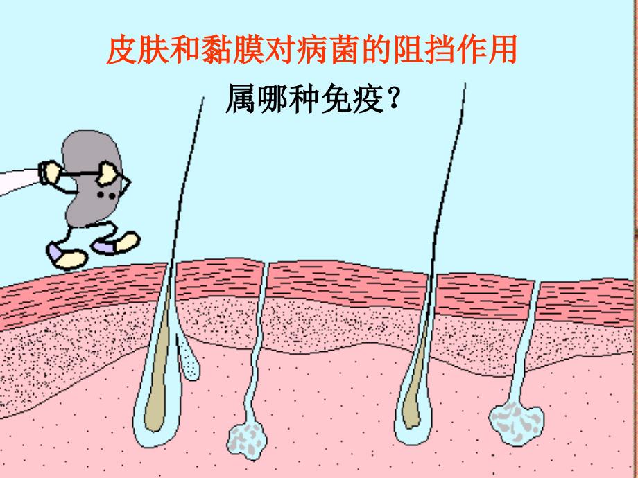 高二生物必修三 免疫调节2课件_第2页