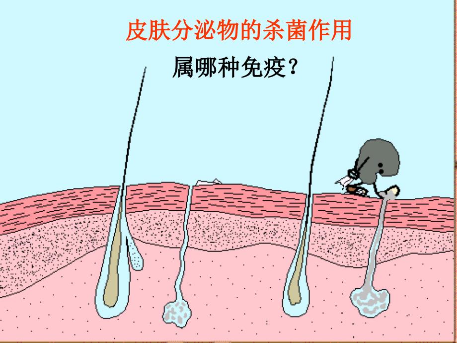 高二生物必修三 免疫调节2课件_第3页