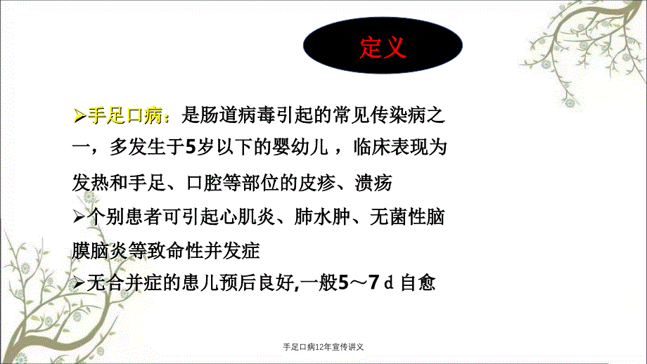 手足口病12年宣传讲义_第2页