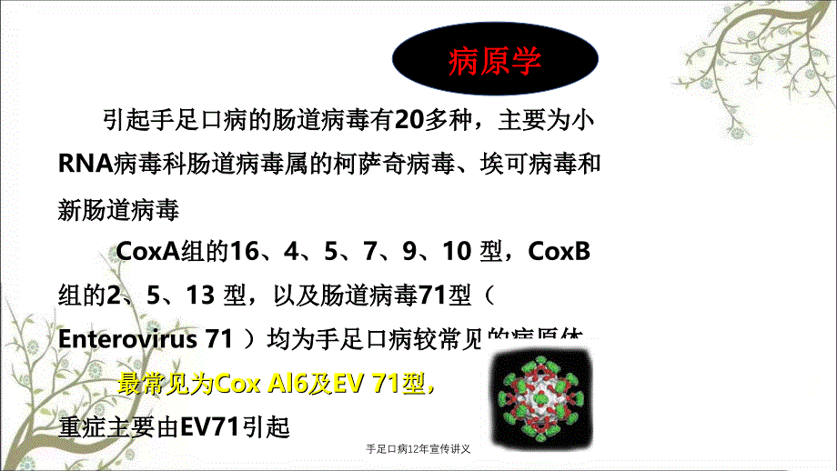 手足口病12年宣传讲义_第3页