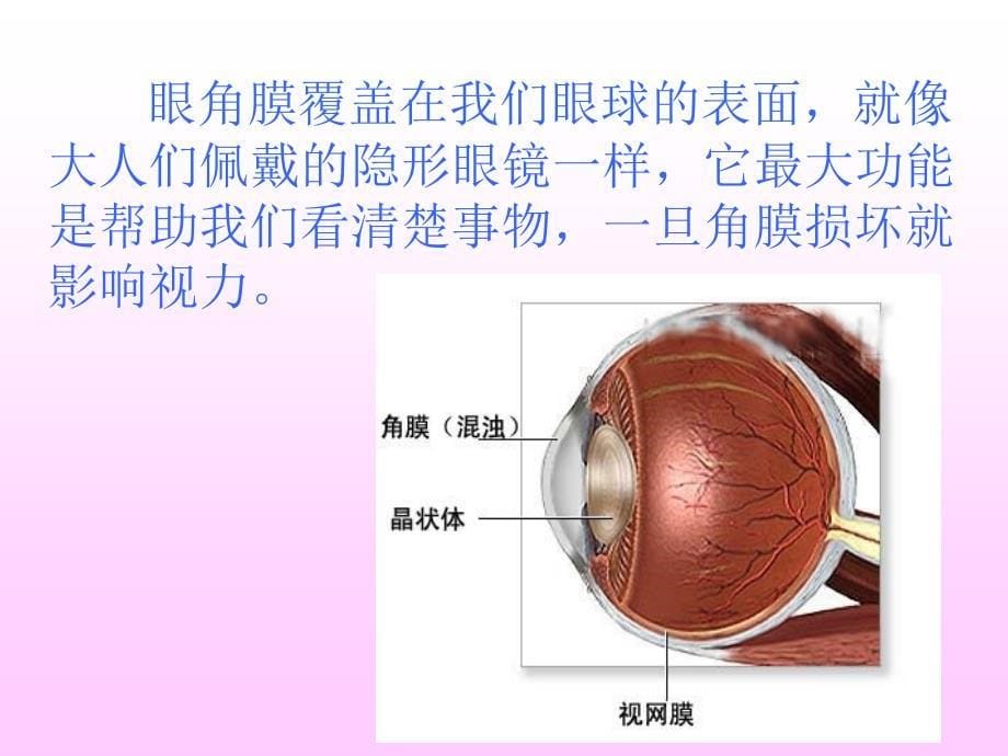 六年级语文下册永生的眼睛PPT课件之二语文S版_第5页