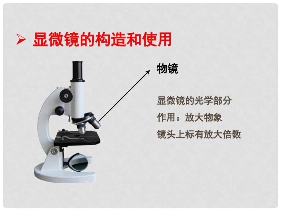 七年级生物上册 1.1.4 生物学的研究工具课件 （新版）济南版_第3页