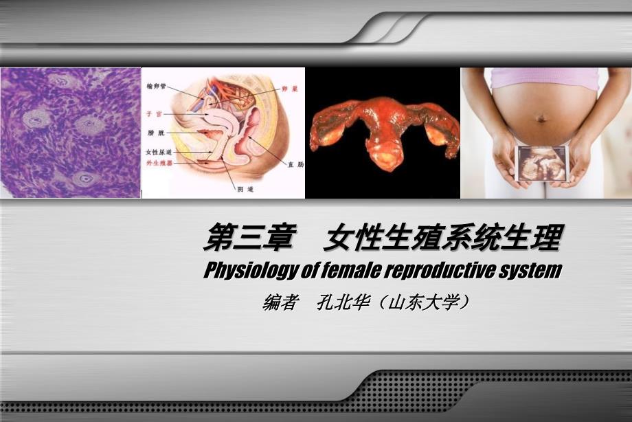 第8版妇产科学配套课件——女性生殖系统生理_第3页