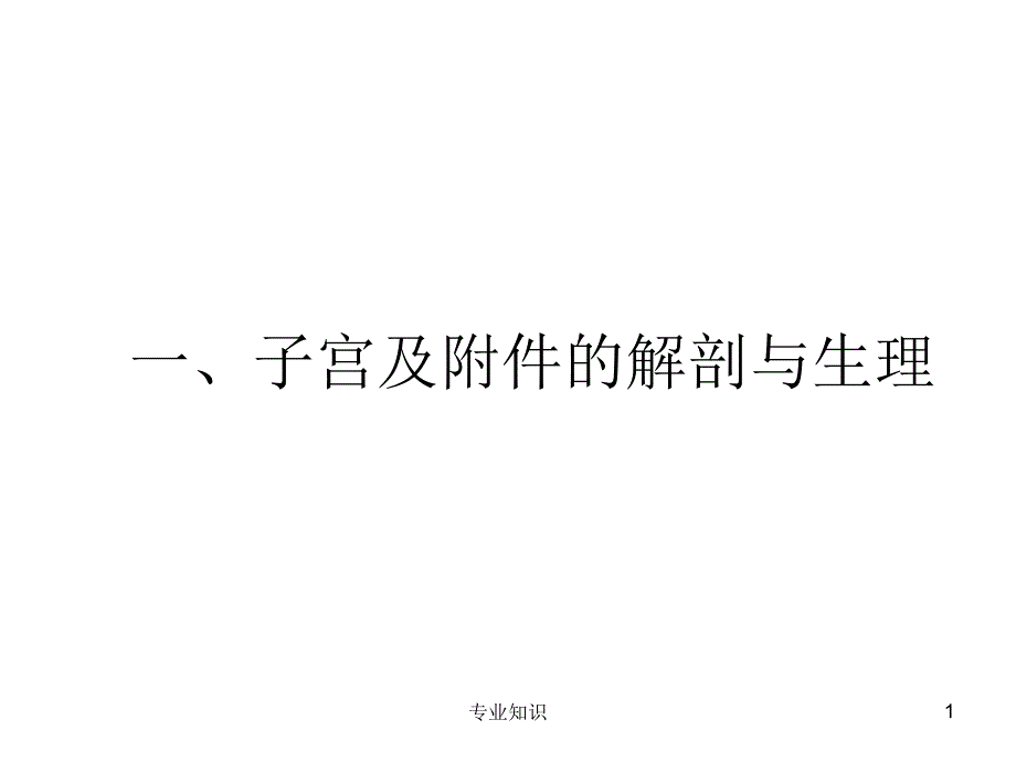 子宫及附件解剖及生理专业材料_第1页