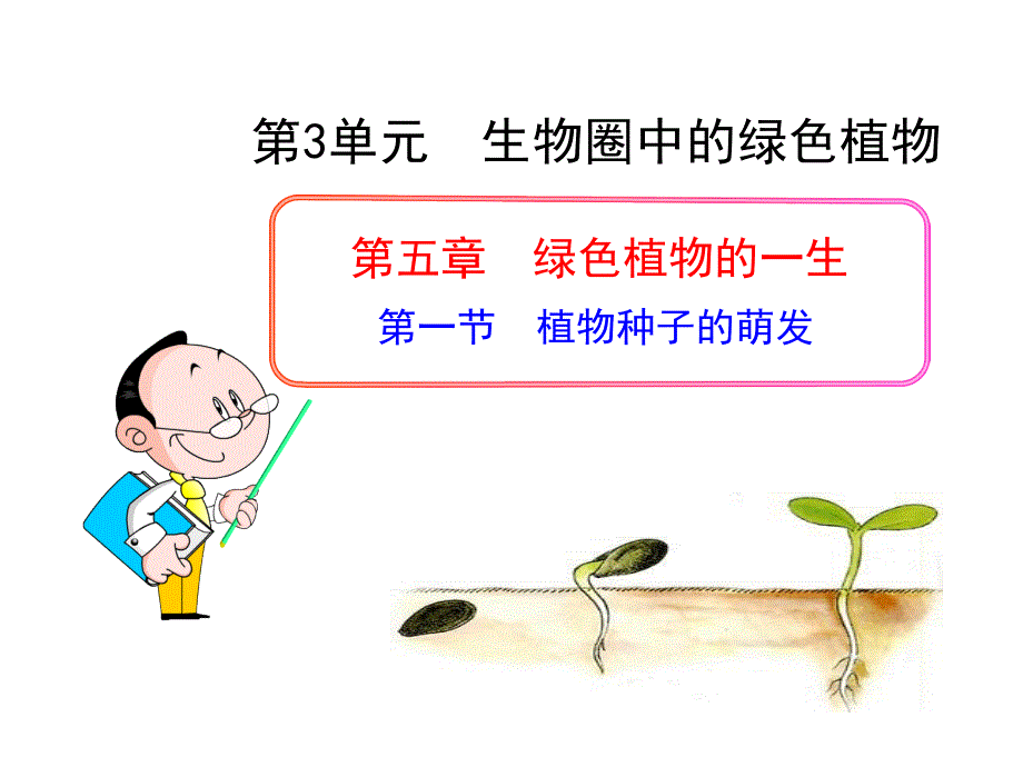 苏教版七年级上第五章绿色生物的一生第一节植物种子的萌发课件共28张PPT_第1页