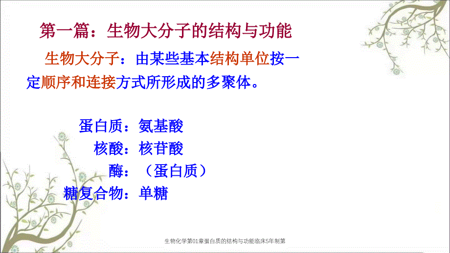 生物化学第01章蛋白质的结构与功能临床5年制第_第1页