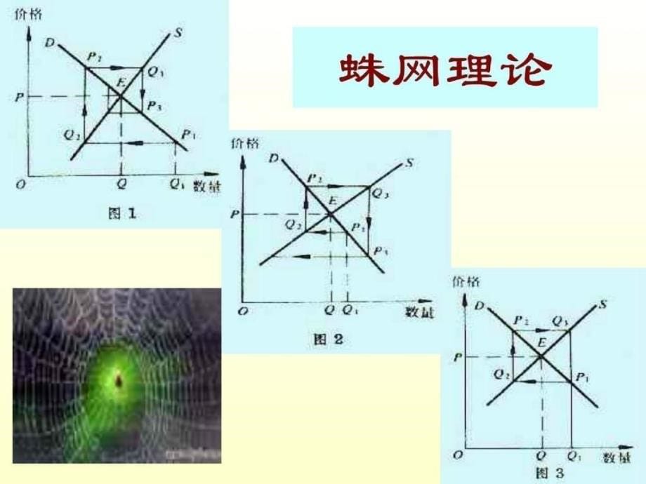 应用经济学基础_第5页