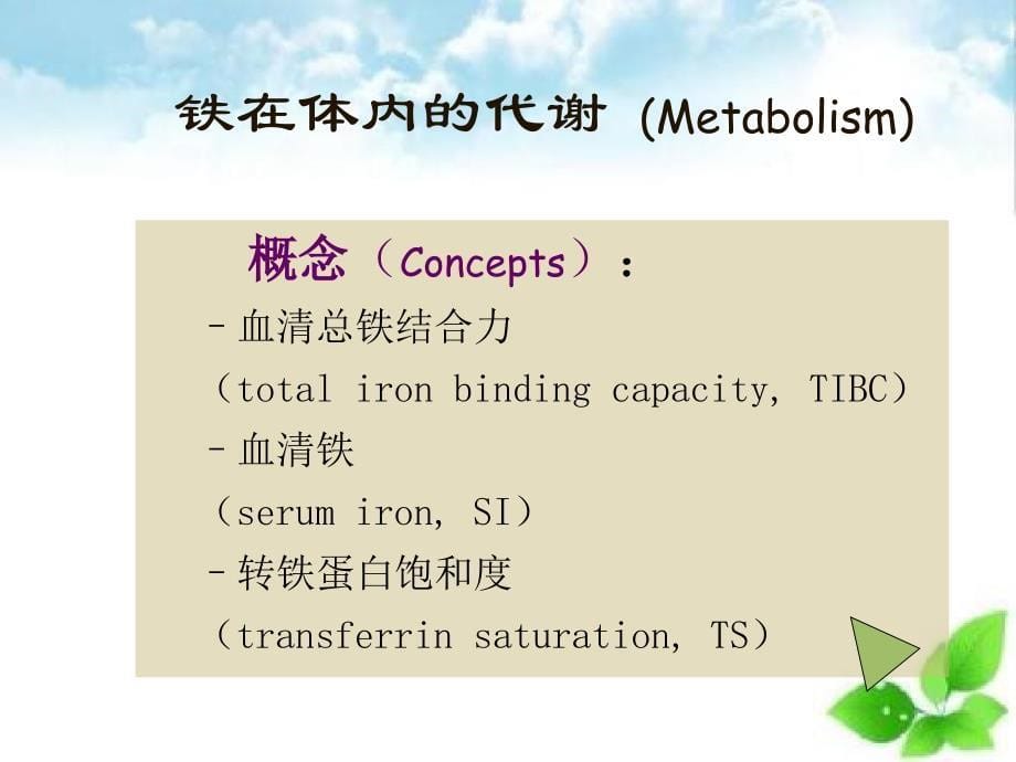 营养性贫血防治_第5页