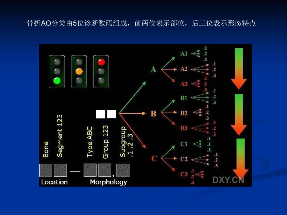 骨折的AO分型PPT课件_第3页