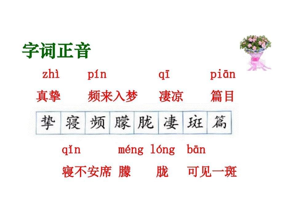 怀念母亲（正式)_第5页