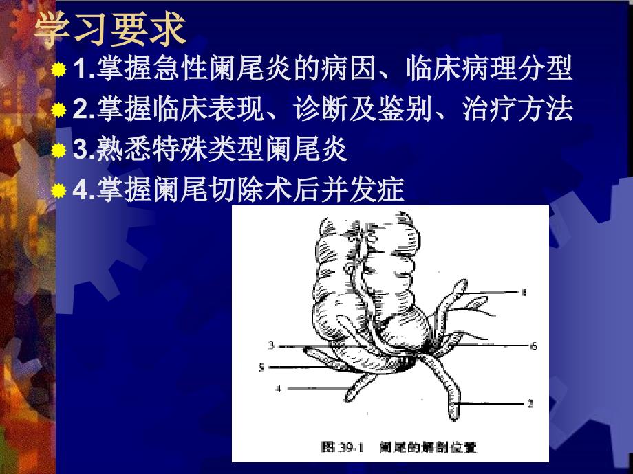 临床医学概要34阑尾炎溃疡穿孔_第2页