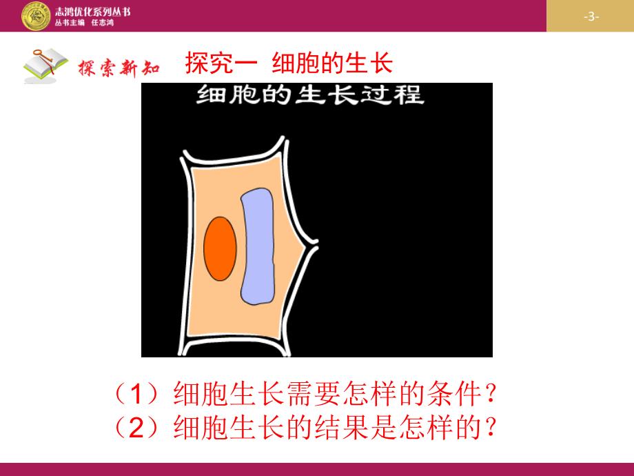 《细胞通过分裂产生新细胞》课件_第3页