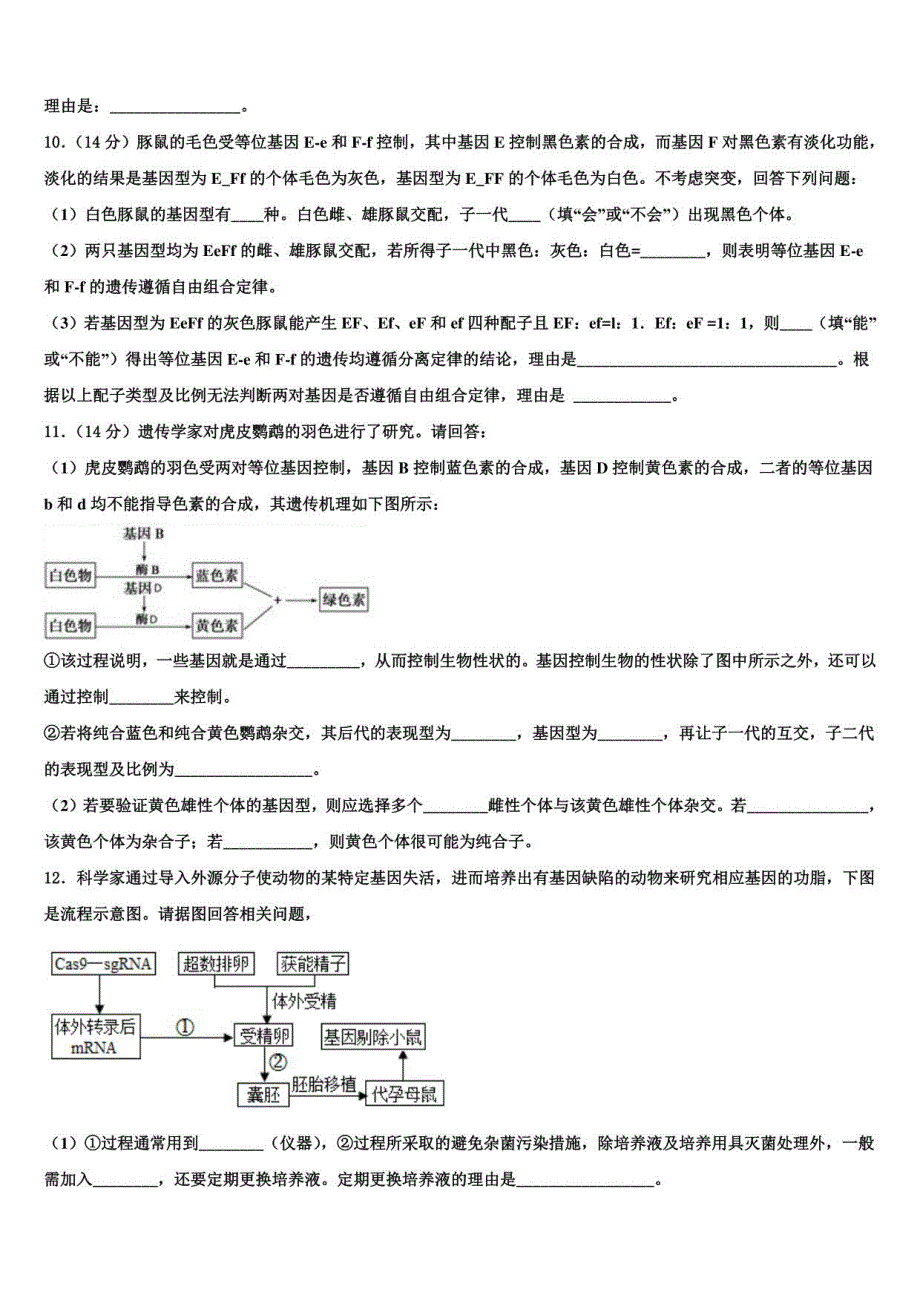 福建省厦门市英才学校2022年高考仿真模拟生物试卷含解析_第4页