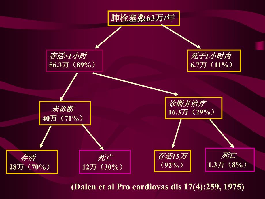 最新：深静脉血栓与肺栓塞诊治进展文档资料_第1页