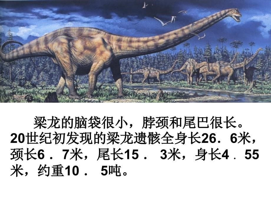 消失了的恐龙ppt课件_第5页