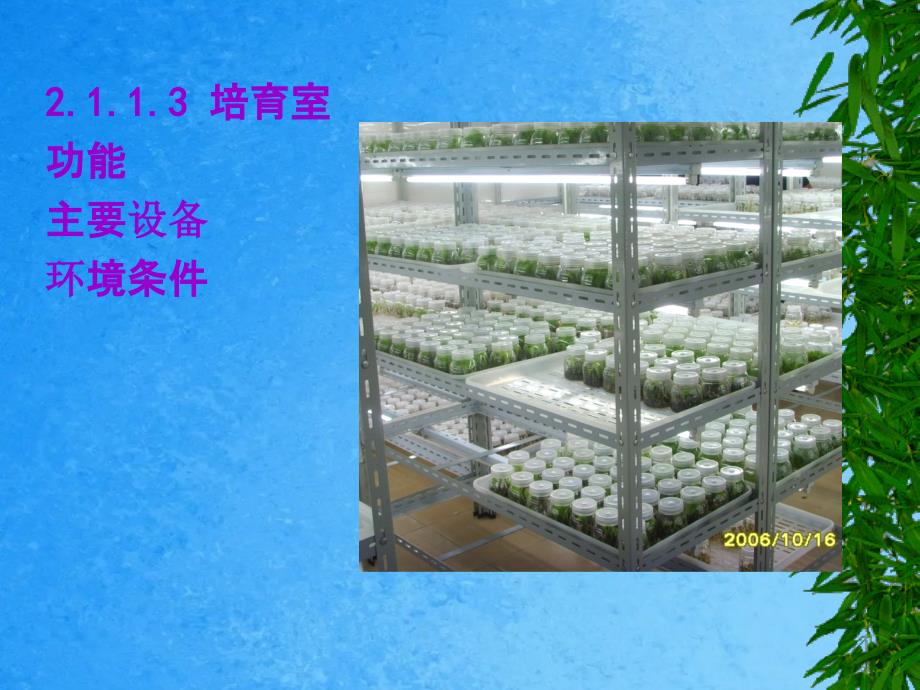 植物组织培养园艺ppt课件_第3页