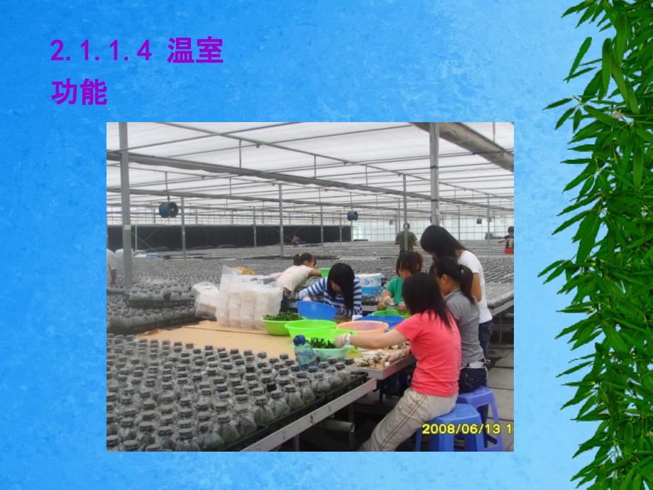 植物组织培养园艺ppt课件_第4页