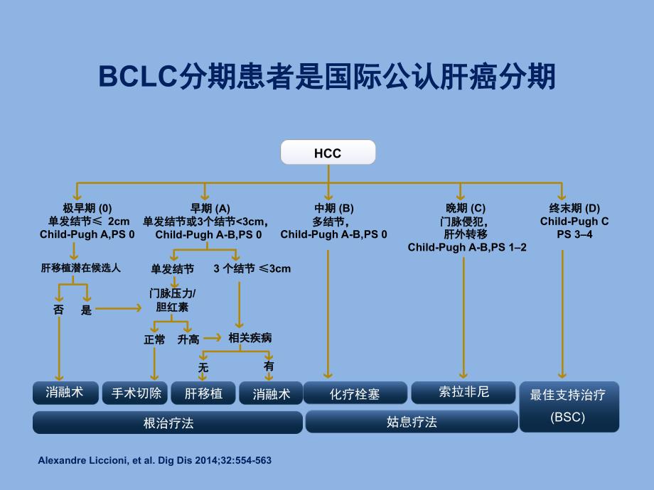 肝癌治疗的全程管理_第4页