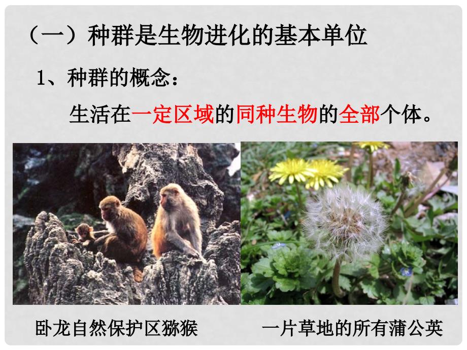 广东省平远县高中生物 7.2.1 种群基因频率的改变与生物进化课件 新人教版必修2_第3页