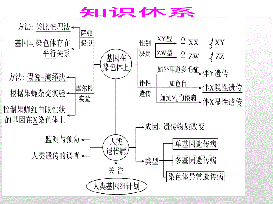 专题六　基因的遗传规律生物教学课件_第3页