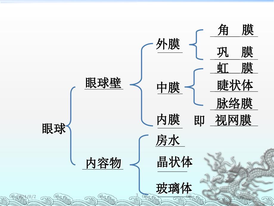 眼和视觉课件_第3页