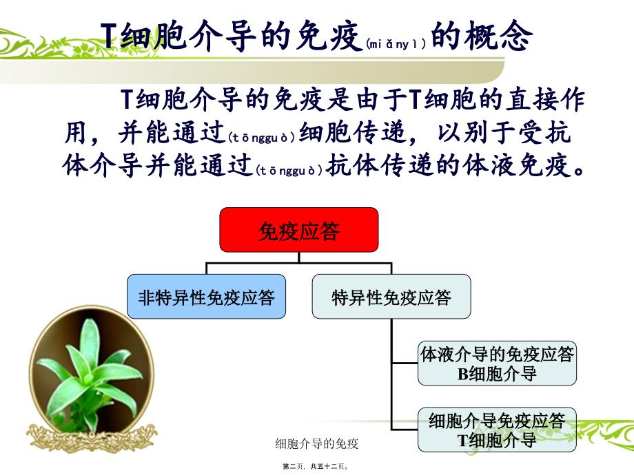 细胞介导的免疫课件_第2页