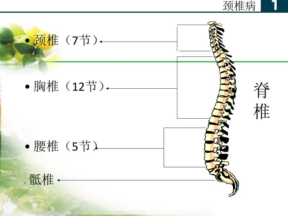 办公室常见病与健康_第3页