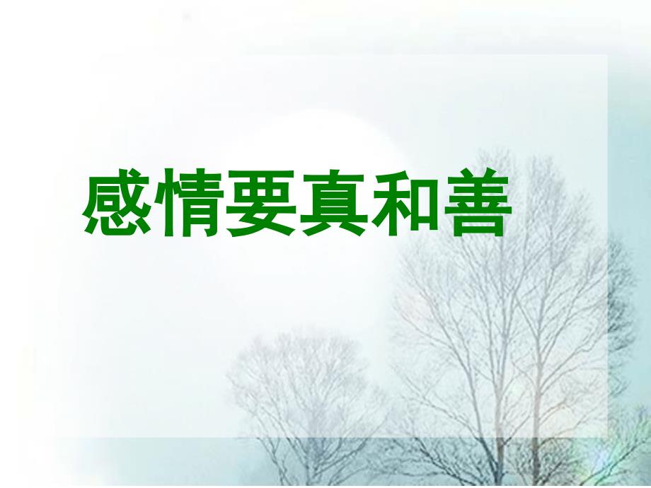 二、初中作文系列课件-作文的情感美_第4页