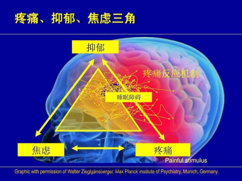 抑郁焦虑疼痛的神经生物学机制及内在联系课件_第4页