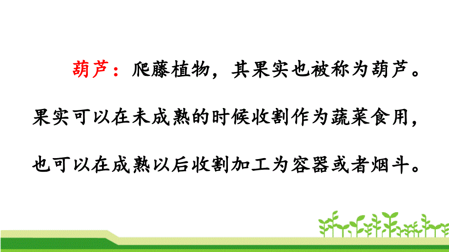 最新人教部编版小学二年级语文上册《我要的是葫芦》名师赛教课件_第3页