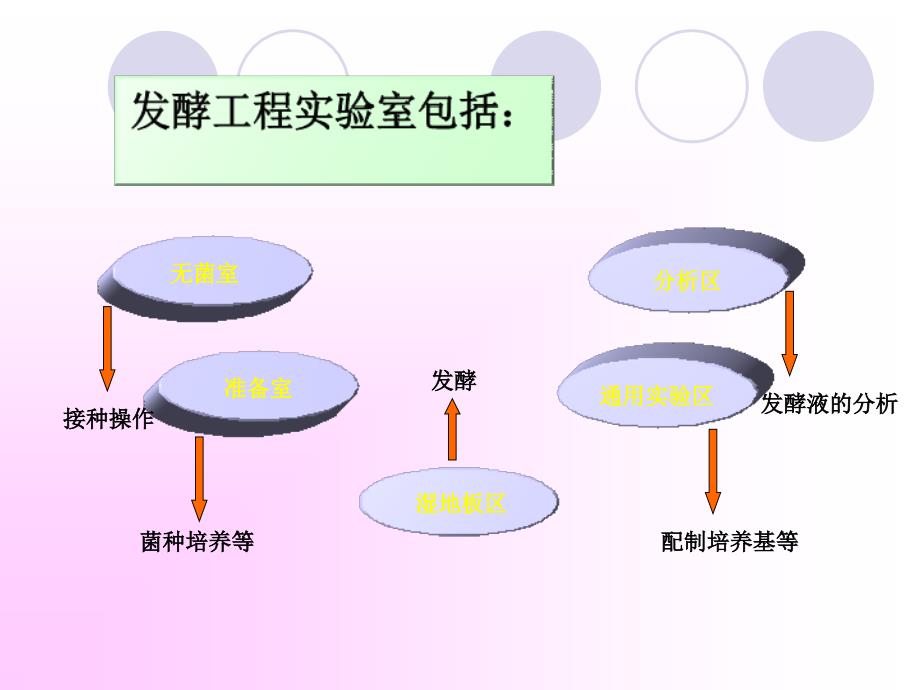 发酵工程课件第二章_第3页