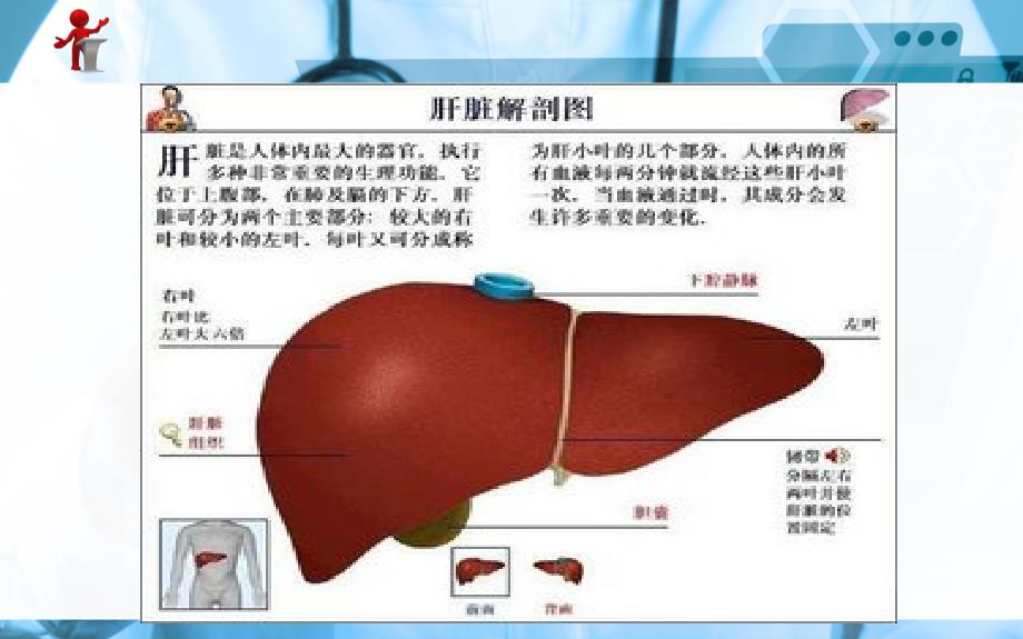 外科护理原发性肝癌病人的护理业内荟萃_第2页