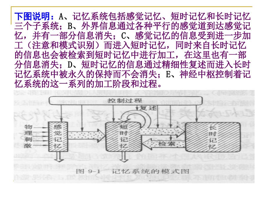 (胡)第六章：记忆与信息加工.ppt_第2页