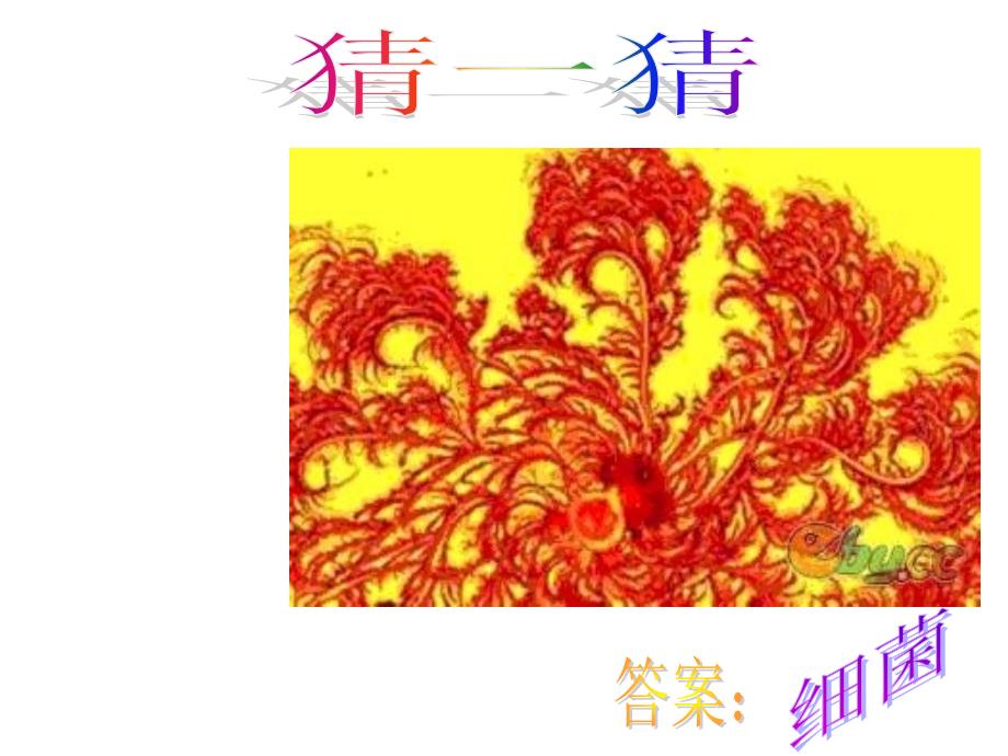 美妙的小世界_第4页