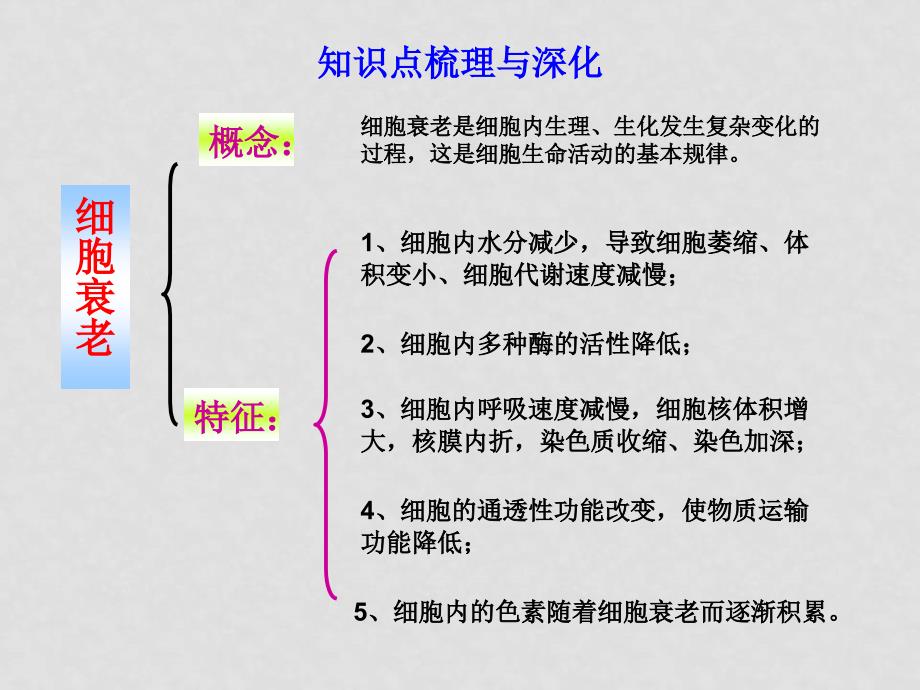 高考生物一轮复习课件：细胞的衰老和凋亡及与人类健康的关系人教版必修1_第3页