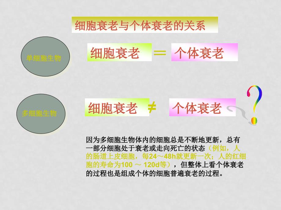 高考生物一轮复习课件：细胞的衰老和凋亡及与人类健康的关系人教版必修1_第4页