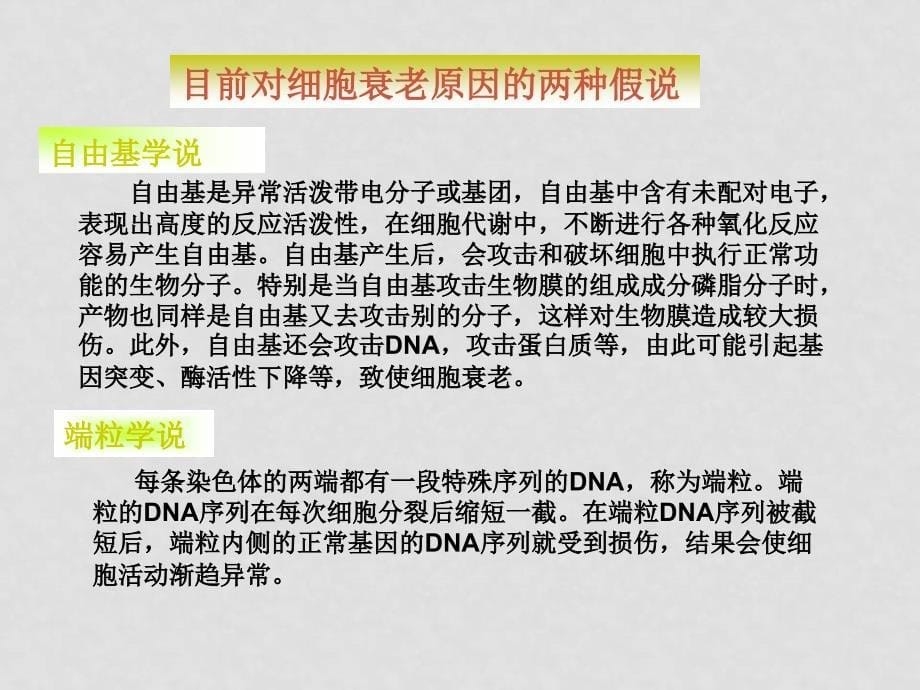 高考生物一轮复习课件：细胞的衰老和凋亡及与人类健康的关系人教版必修1_第5页