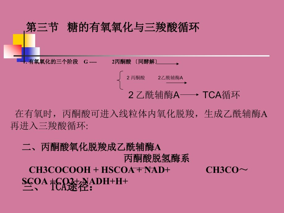 第三节糖的有氧氧化与三羧酸循环ppt课件_第1页