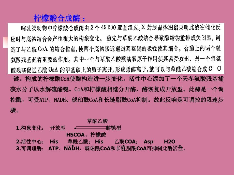 第三节糖的有氧氧化与三羧酸循环ppt课件_第3页