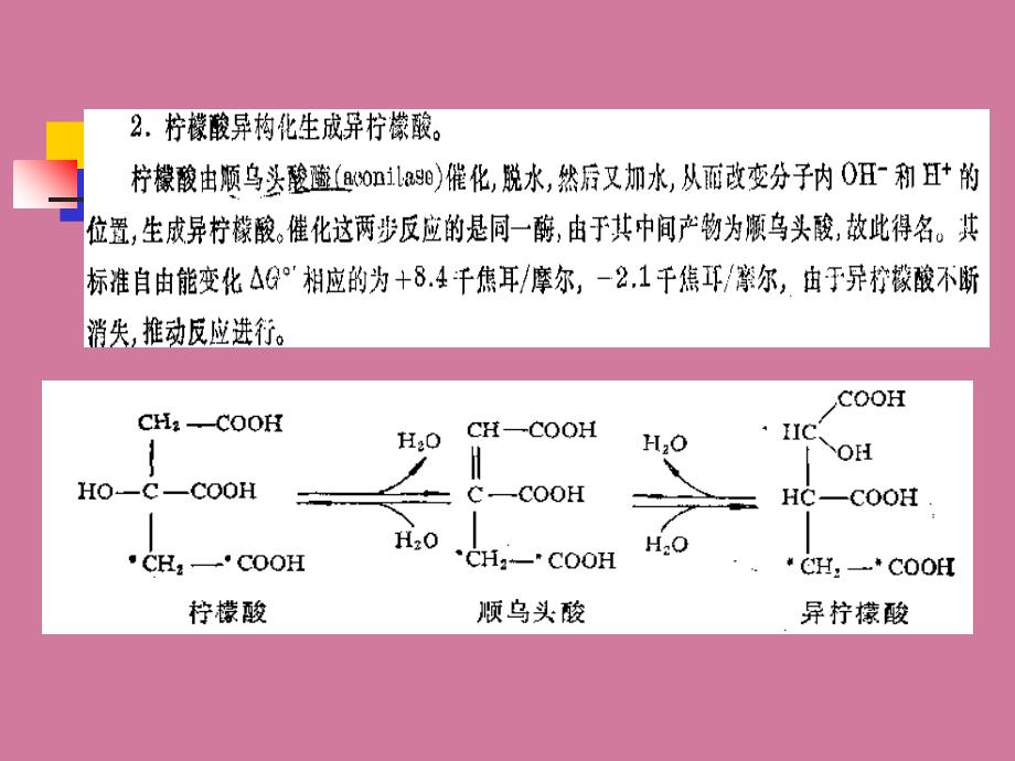 第三节糖的有氧氧化与三羧酸循环ppt课件_第4页