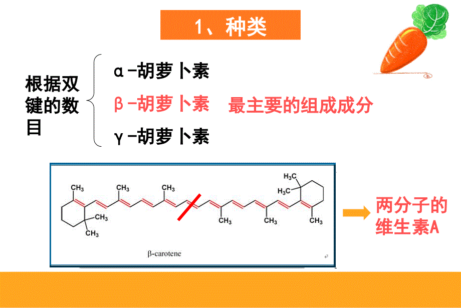 胡萝卜素的提取_第2页