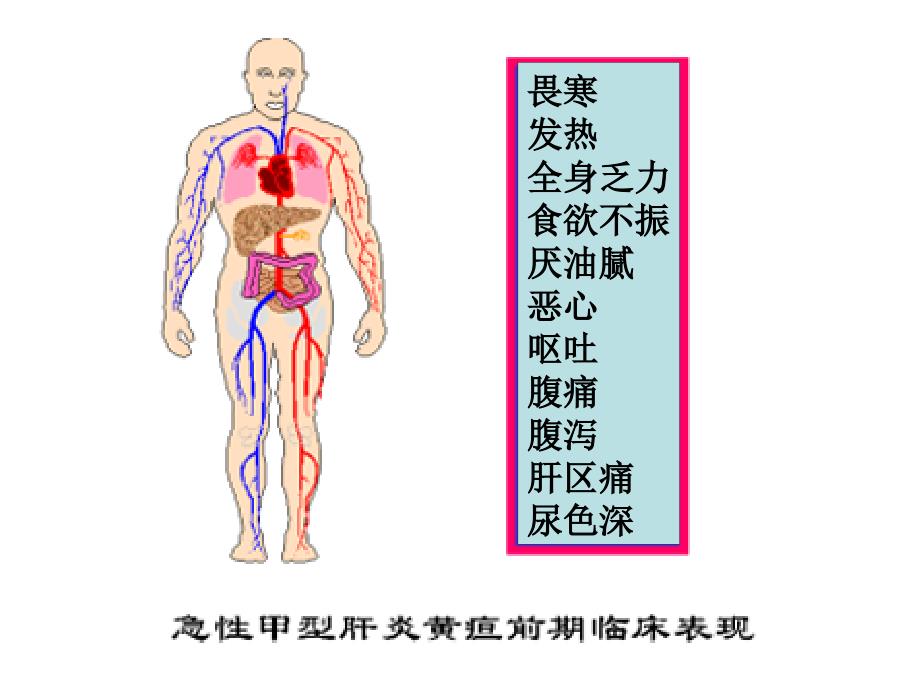 甲肝临床表现名师编辑PPT课件_第1页