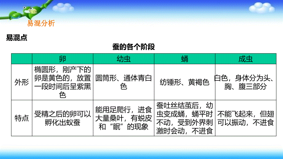 三年级下册科学-教科版-第二单元-动物的一生-单元整理与复习-课件ppt_第3页