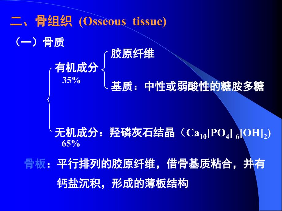 软骨-骨--组织学与胚胎学课件_第3页