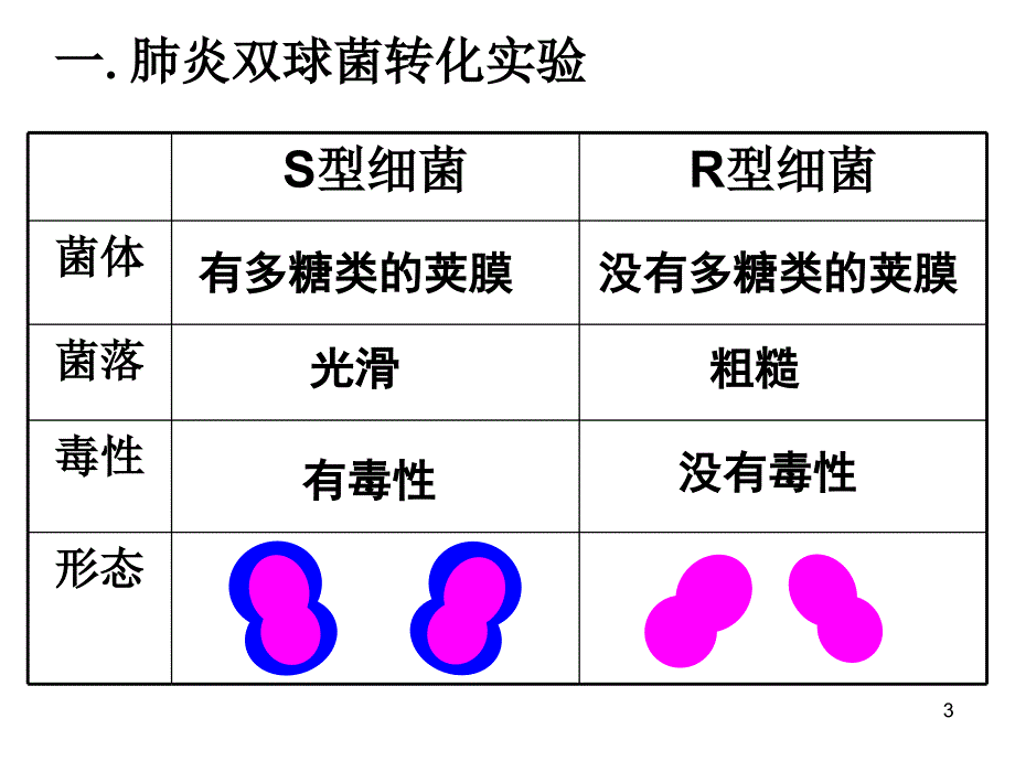 DNA是遗传物质的实验证据ppt课件_第3页