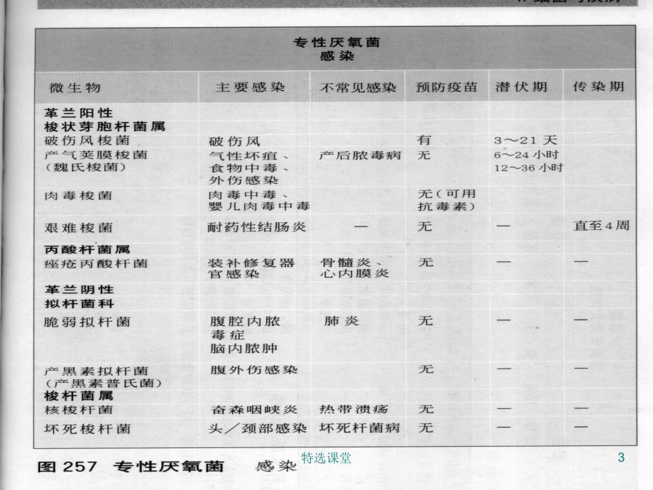 厌氧型细菌及检验【行业培训】_第3页